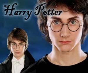 yapboz Harry Potter